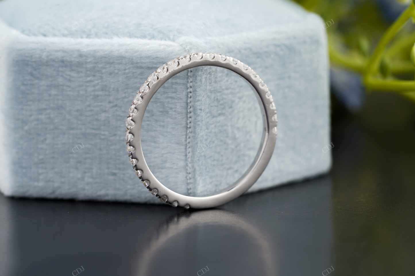 Classic Round Moissanite Diamond Band