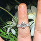 Oval Cut Lab Grown Diamond Wedding Ring Set