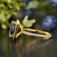 Cushion Rutilated Quartz Moissanite Ring customdiamjewel