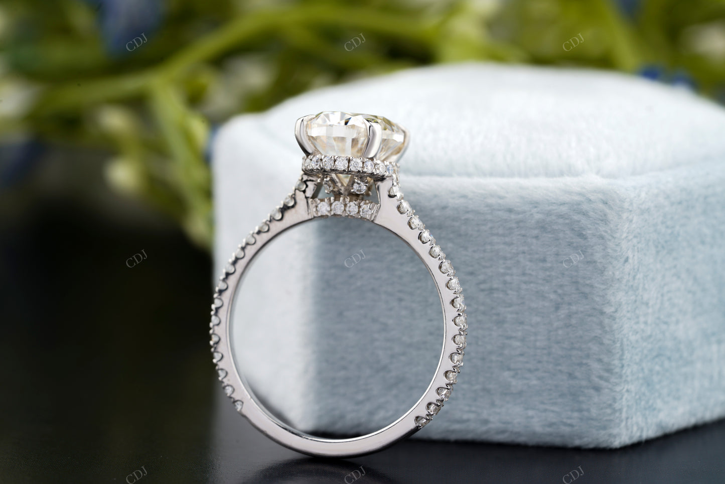 Oval Lab-Grown Diamond Pavé Ring
