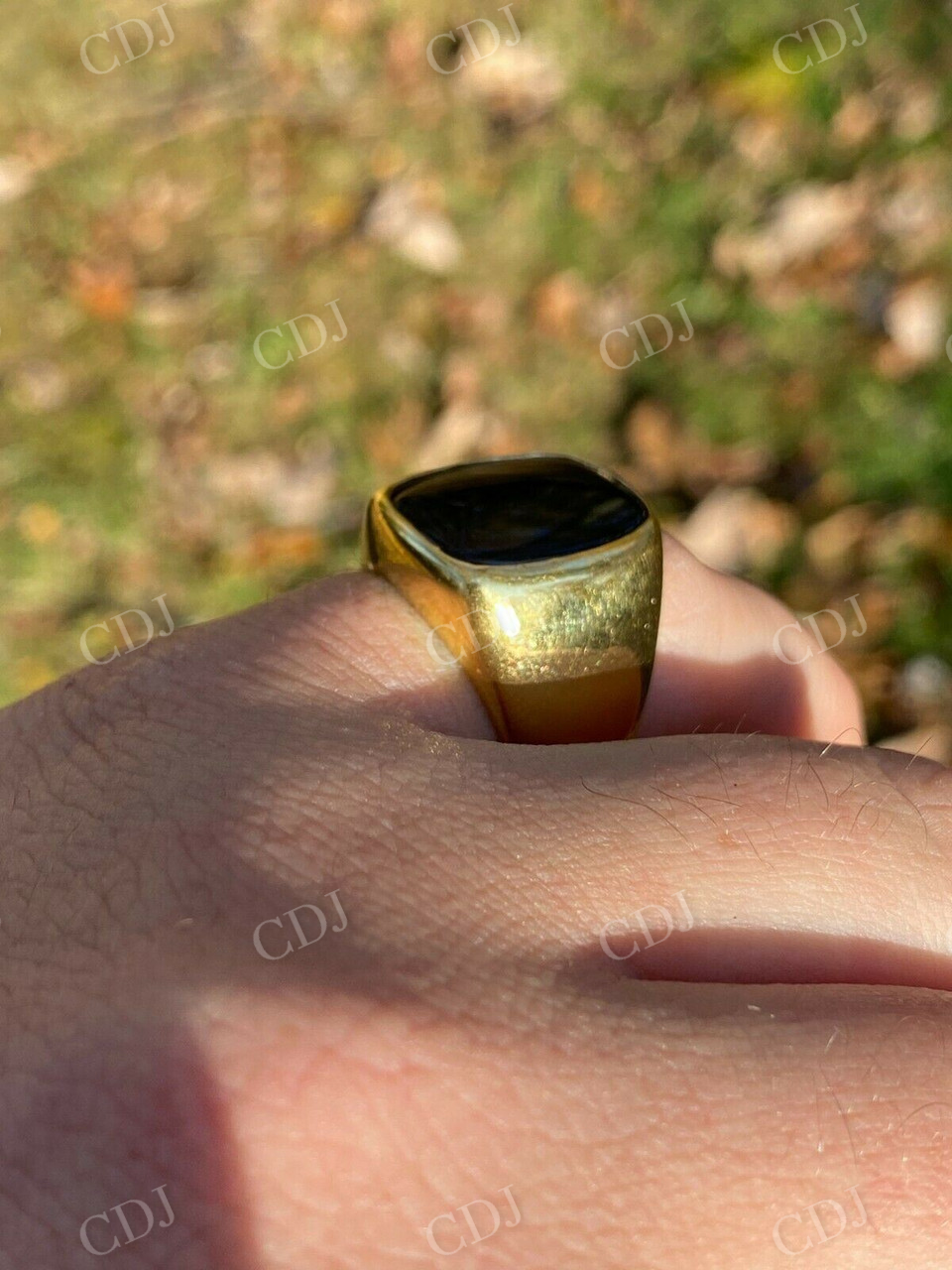 Black Onyx Men's Signet Ring  customdiamjewel   