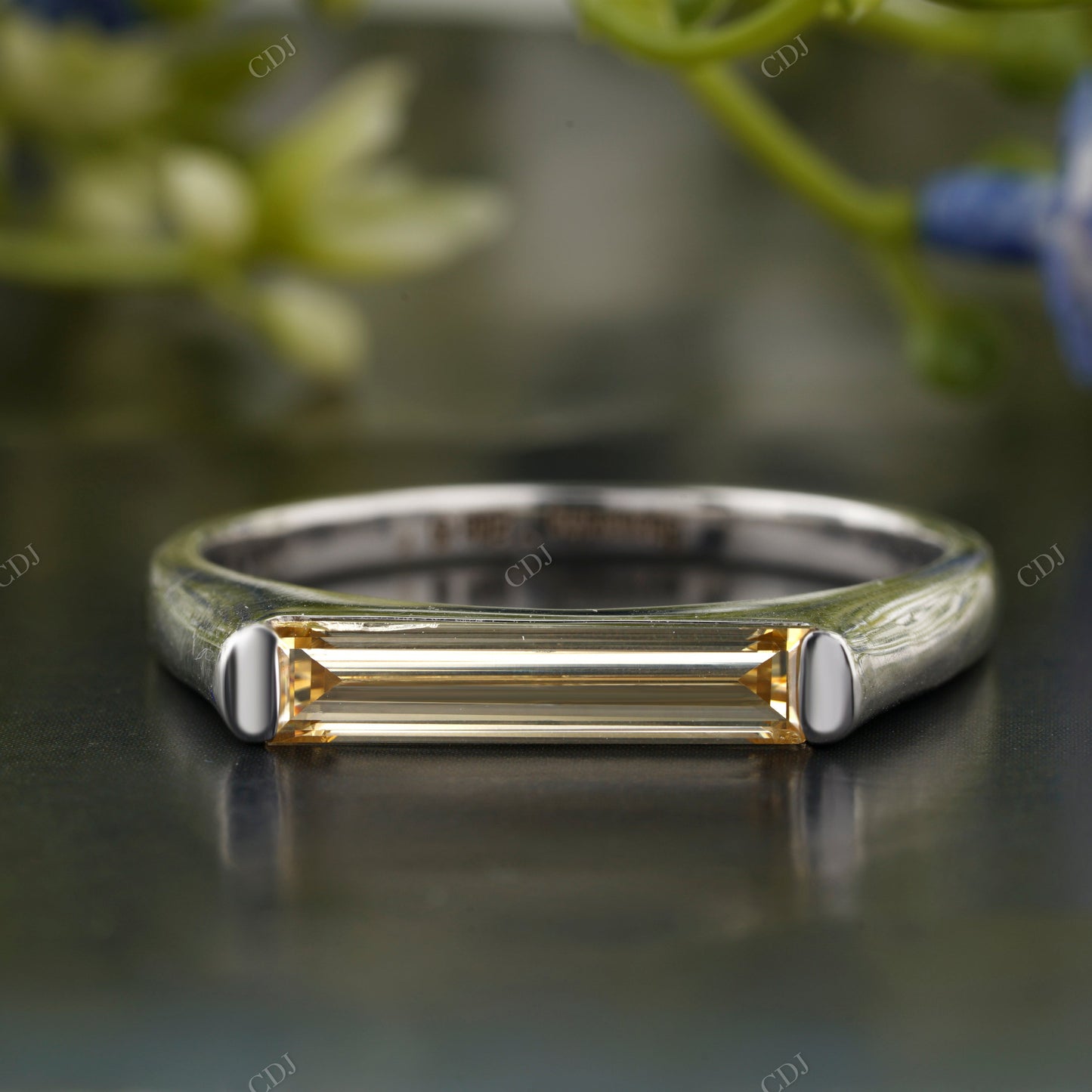 Long Baguette Moissanite Diamond Band