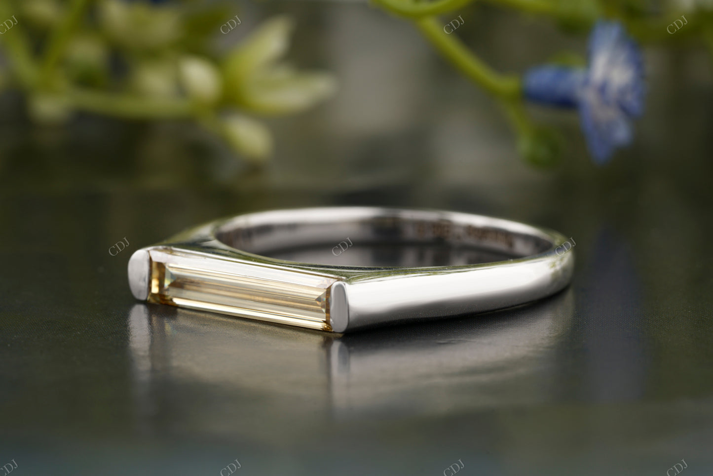 Long Baguette Moissanite Diamond Band