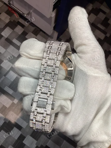 Luxurious AP Natural Diamond Iced Out Hip Hop Watch customdiamjewel