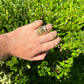 Lion Moissanite Baguette Crown Mens Ring  customdiamjewel   