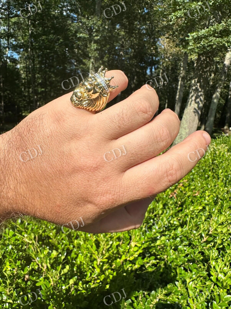 Lion Moissanite Baguette Crown Mens Ring  customdiamjewel   