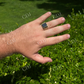Black Onyx Square Ring  customdiamjewel   