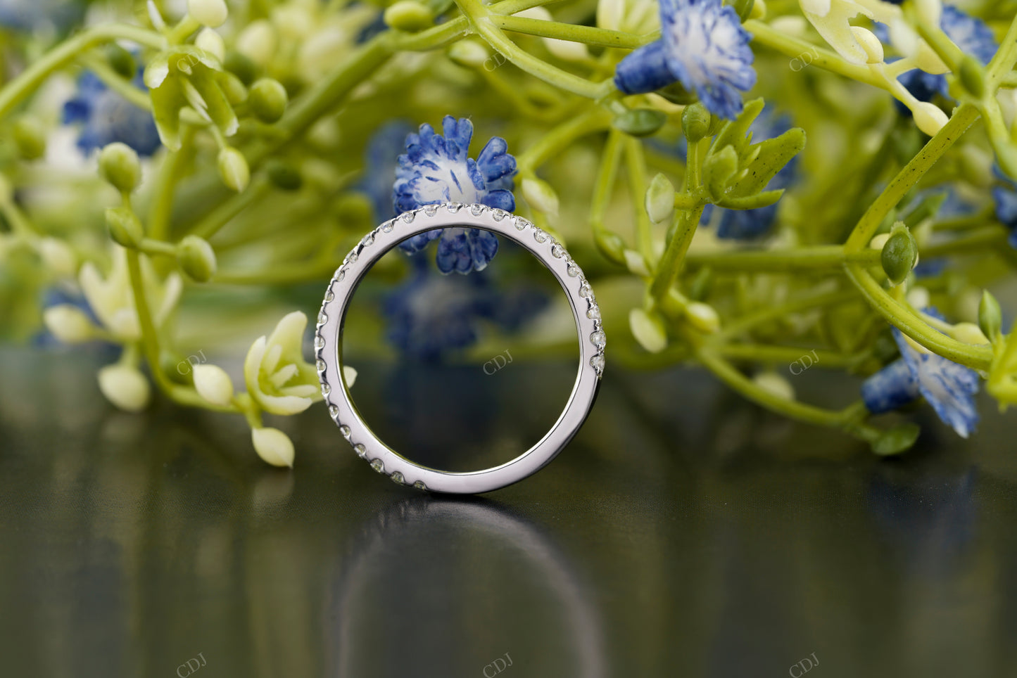 Classic Round Moissanite Diamond Band