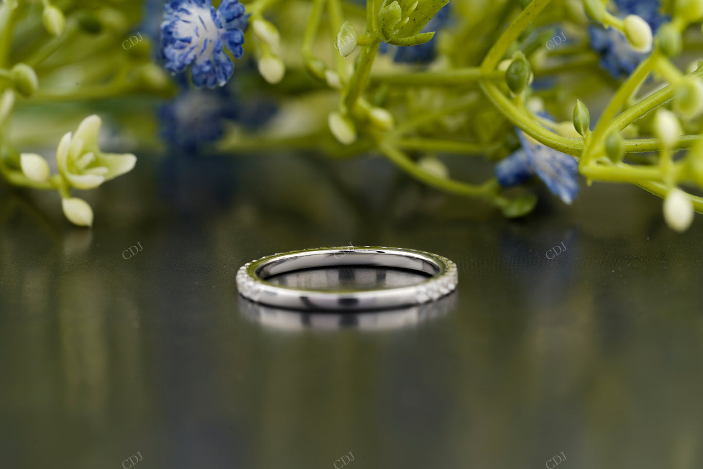 Classic Round Moissanite Diamond Band
