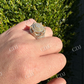 14k Gold Iced King Crown Micropave Ring  customdiamjewel   