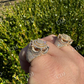 14k Gold Iced King Crown Micropave Ring  customdiamjewel   