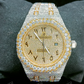 AP Natural Diamond Studded Two Tone Stainless Steel Luxurious Watch customdiamjewel