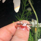 Unique Custom Lab Grown Diamond Proposal Band customdiamjewel
