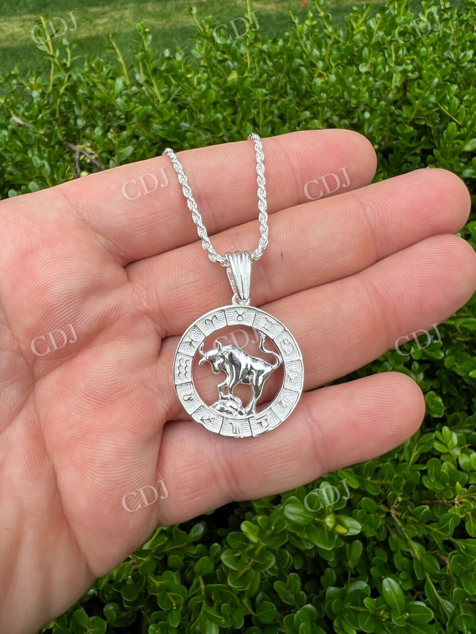 925 Sterling Silver Zodiac Astrology Sign Pendant  customdiamjewel   
