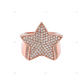 Star Shape Sterling Silver Moissanite Hip Hop Ring hip hop jewelry customdiamjewel