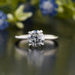 Classic Round Moissanite Solitaire Ring