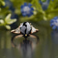 Black Pear Moissanite Diamond Ring