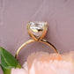 Classic Lab Grown Diamond Solitaire Ring customdiamjewel