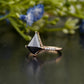 Kite Cut Moissanite Diamond Ring customdiamjewel