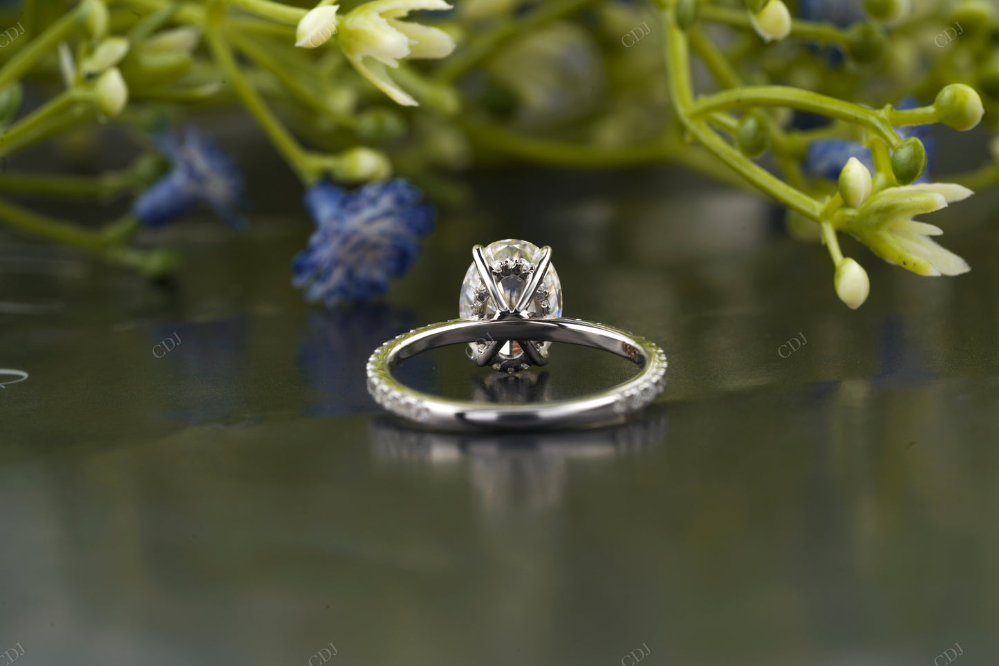 Lab-Grown Diamond Pavé Band Ring