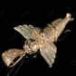 925 VVS Moissanite Angel Cherub Diamond Pendant Hip Hop Pendent CustomDiamJewel