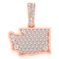 0.35CTW Washington State Pendant  customdiamjewel   