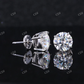 14K Solid White Gold Dainty Round Cut Moissanite Stud Earring